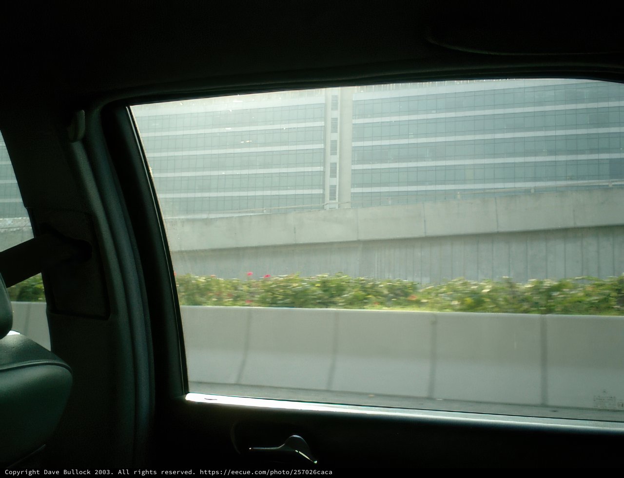 City Sights from a Car Seat