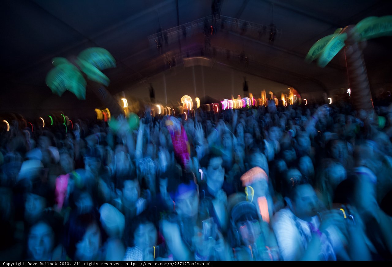 A Night of Fun with a Crowd of People at a Concert