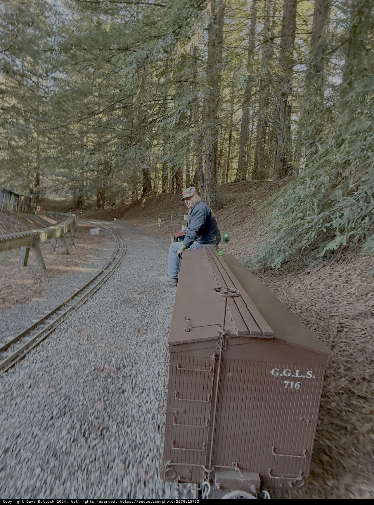 Vintage Railway Operator on Forest Train
