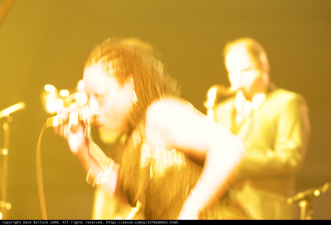 Blurry Performance at Coachella