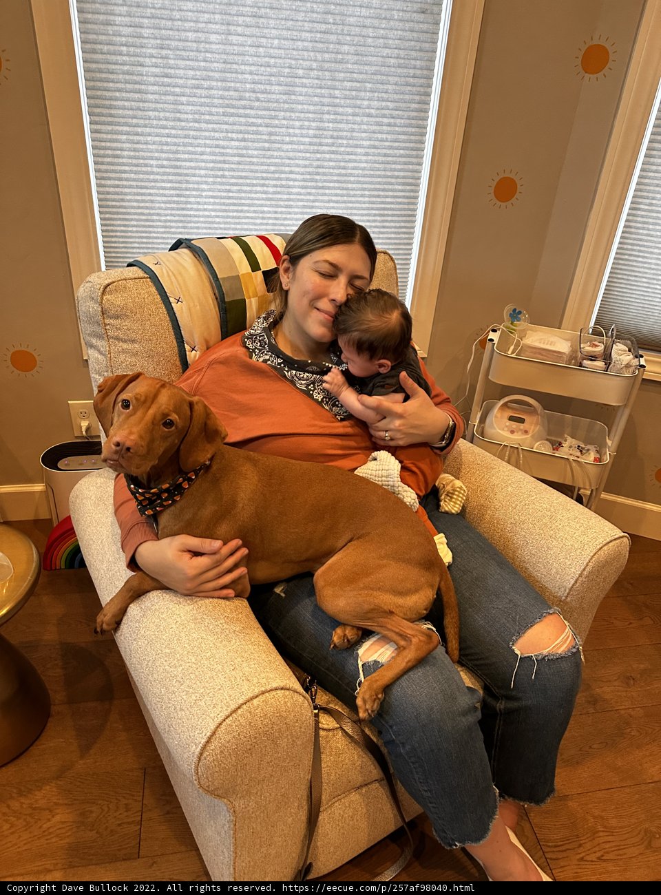 A Cozy Evening with Baby and Dogs