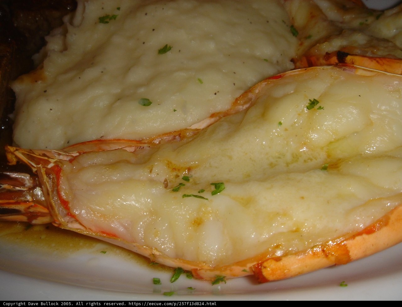 Lobster and Mashed Potatoes Delight