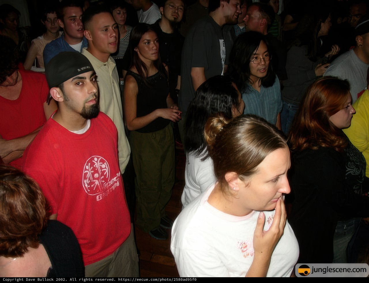 Nightclub Gathering