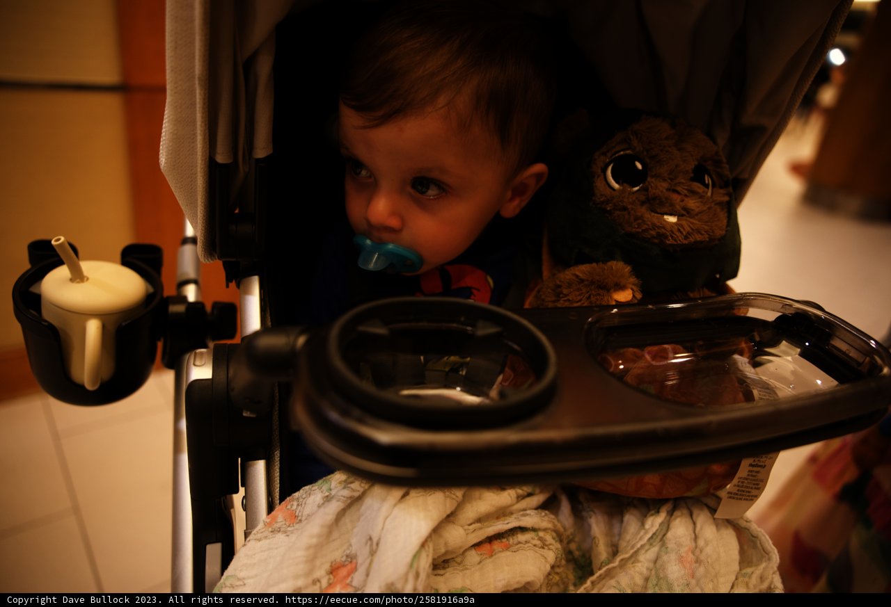 Wesley's Disneyland Adventure