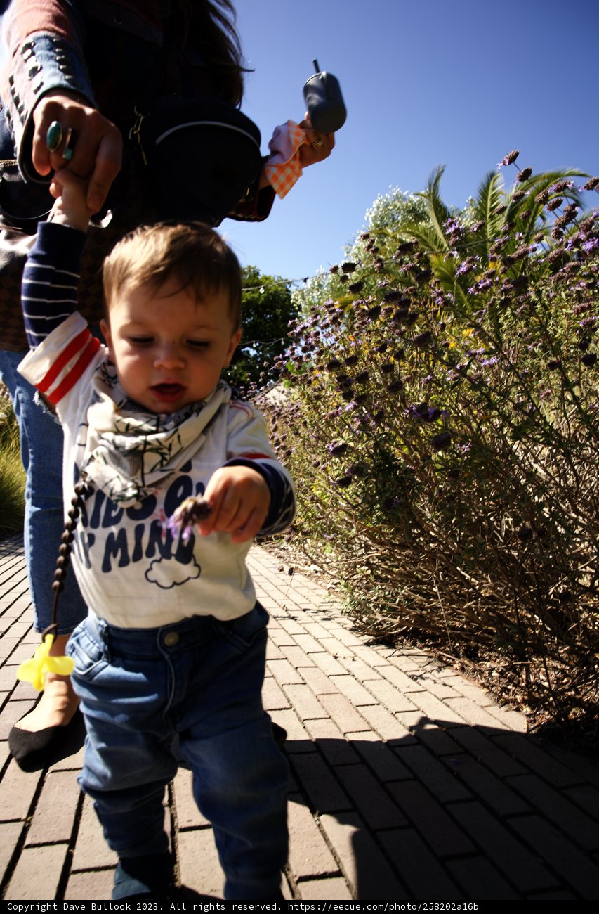 Adorable Baby Explorer