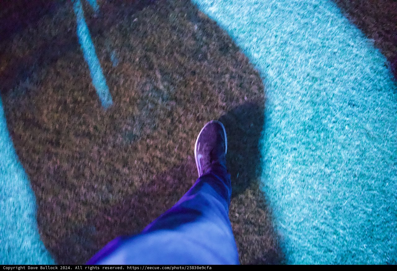 Step into the Night: A Festival Journey
