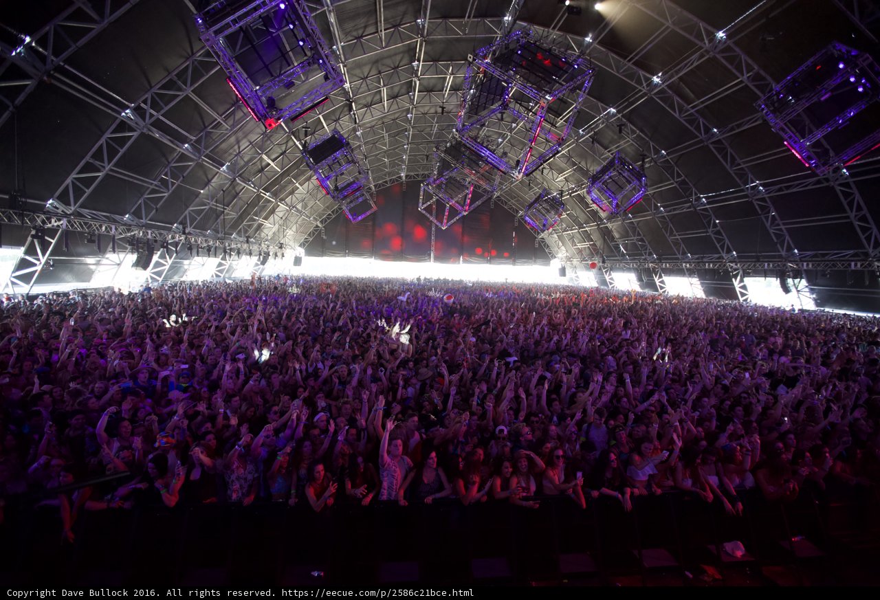 The Electric Crowd at Coachella