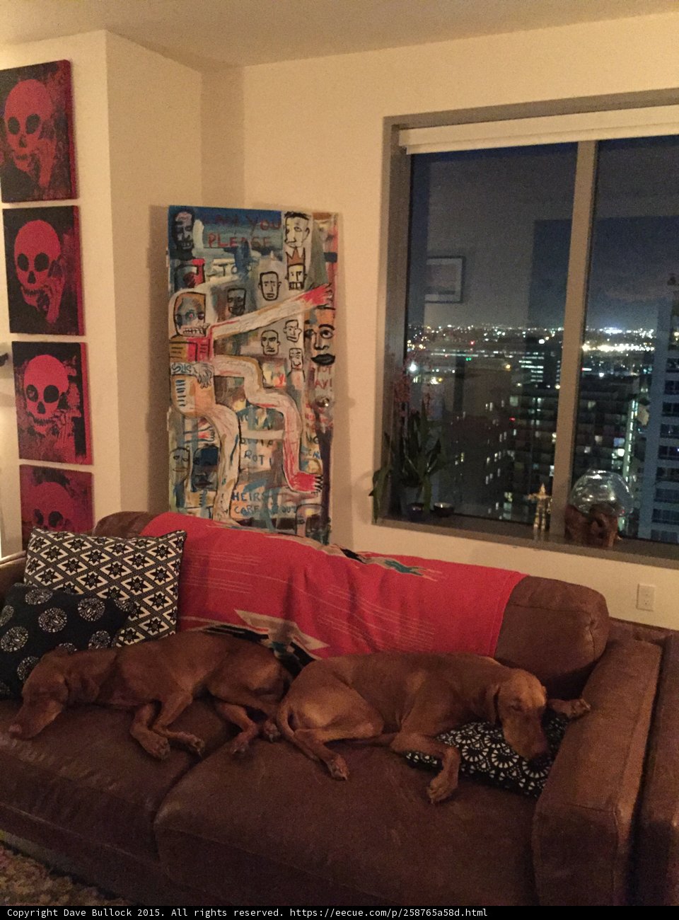 Canine Companions on a Cozy Couch