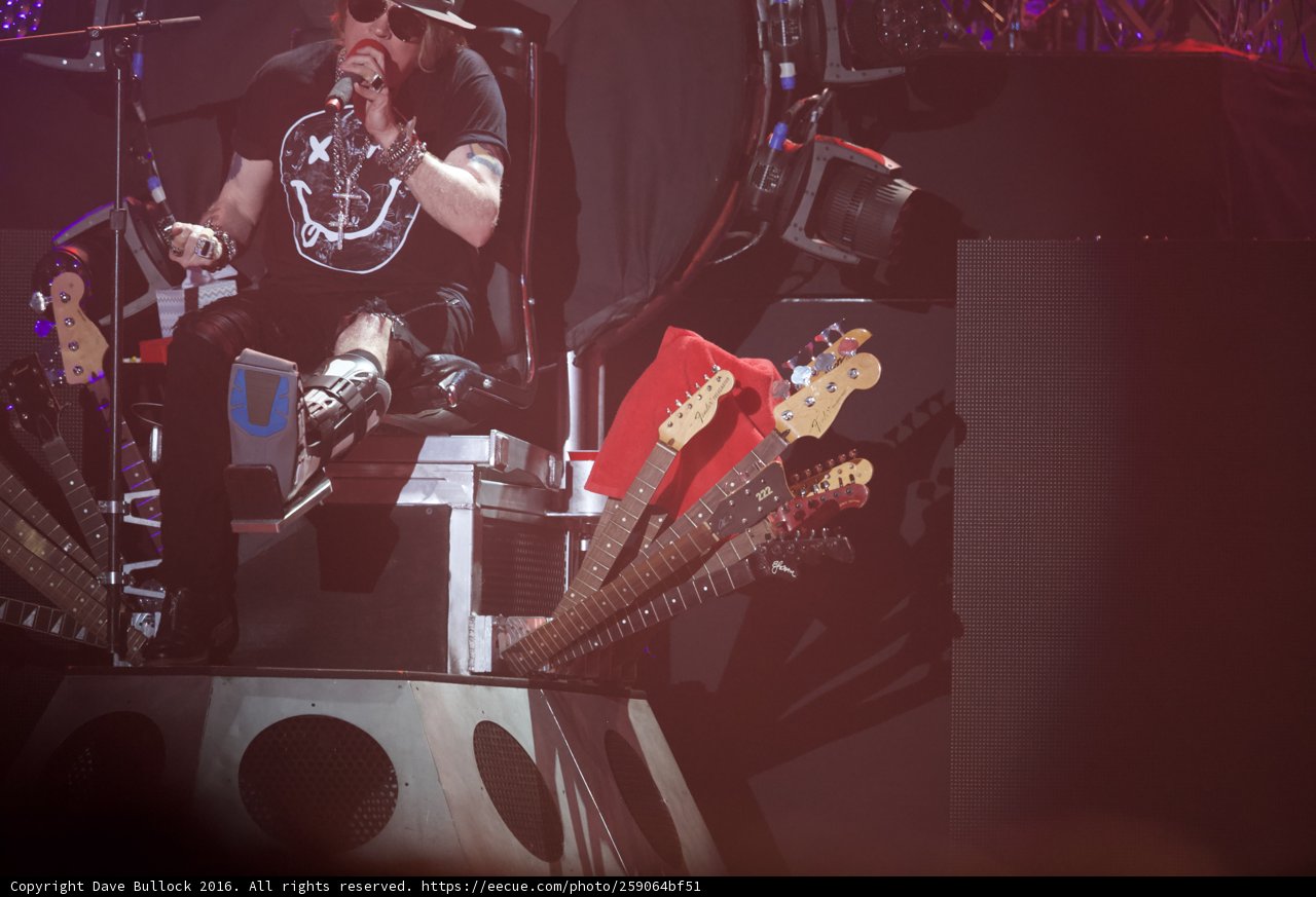 Strumming into the Crowd's Hearts