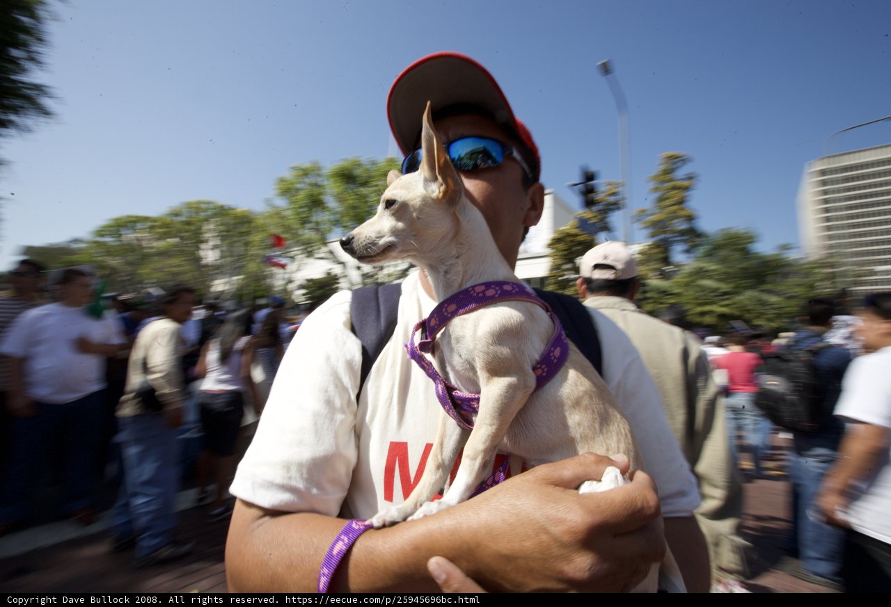 Man with his loyal hound at Mayday rally