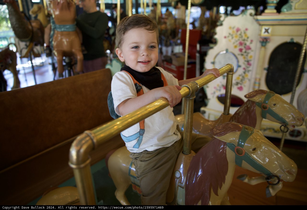 Joyful Rides at Tilden Carousel
