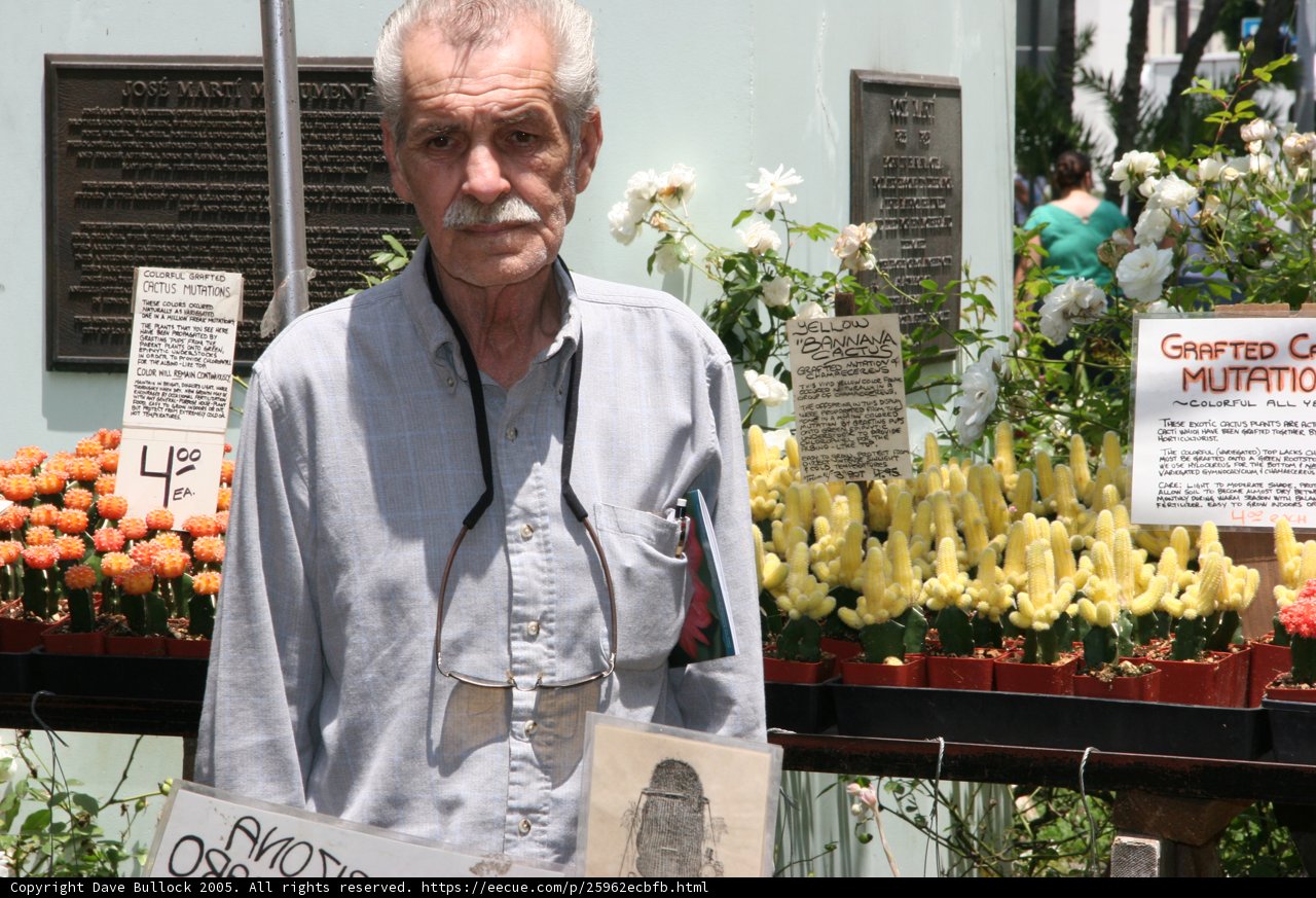 A Man and His Flower Bouquet