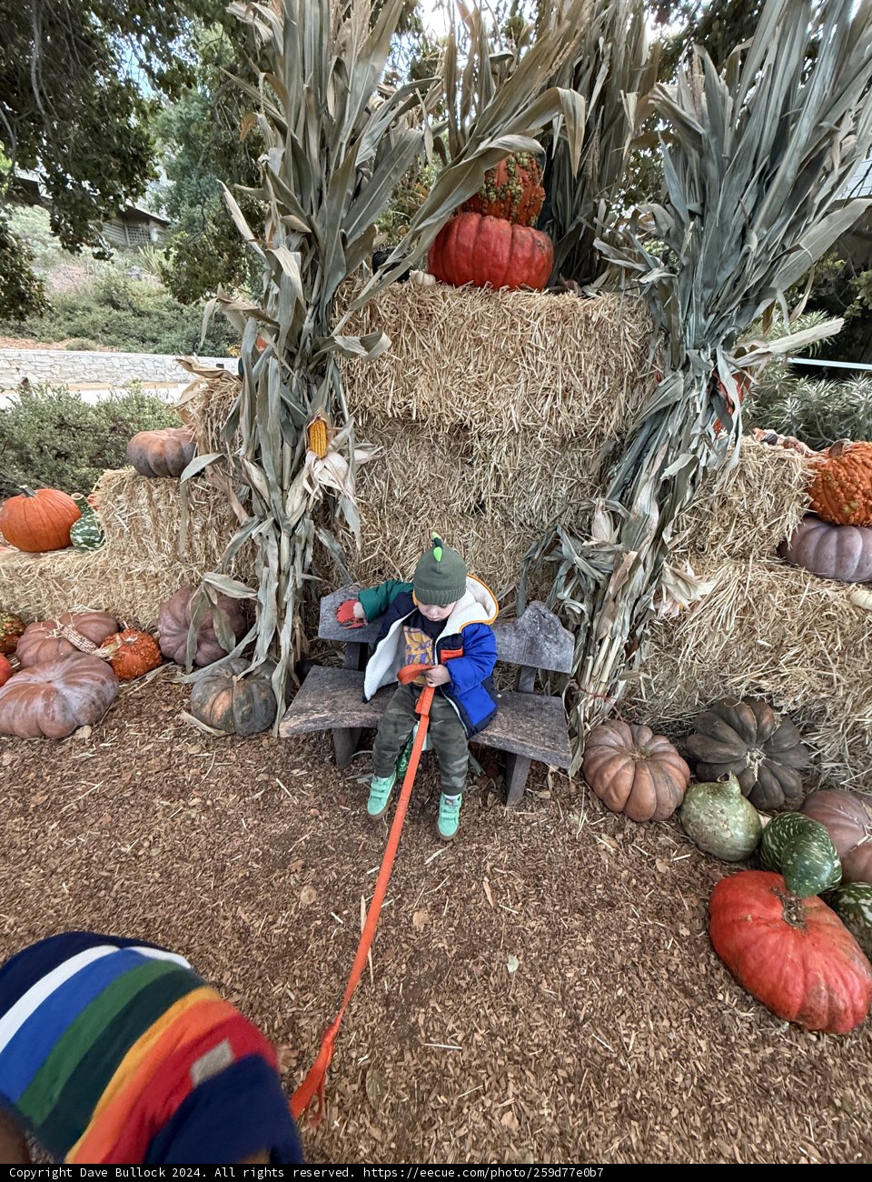 Autumn Adventures in Carmel