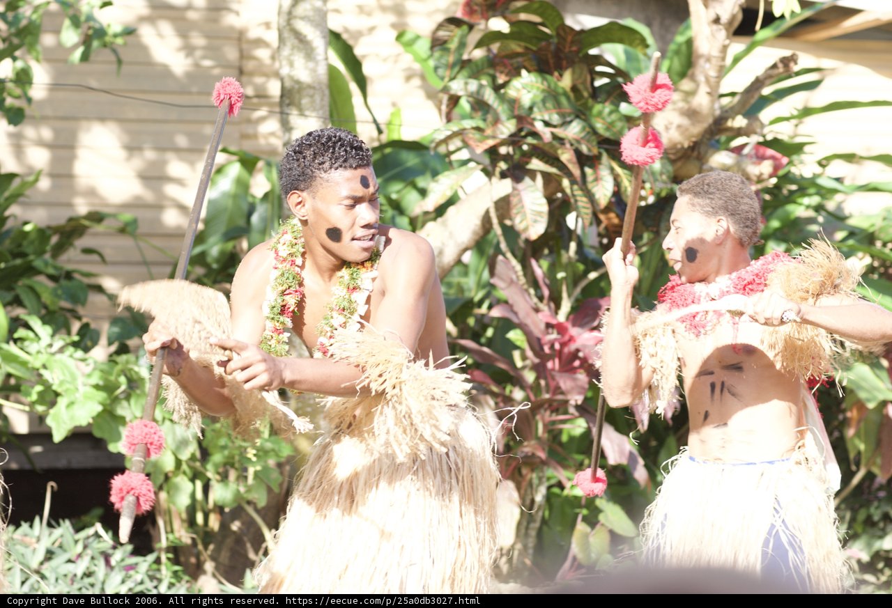 Grass Skirt Hula Dance