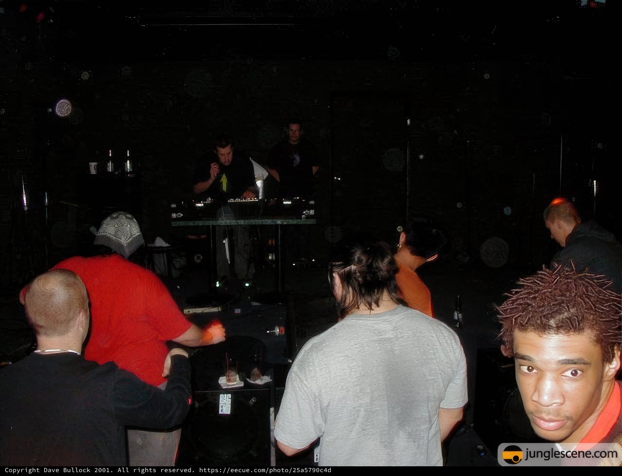 Nightclub Gathering