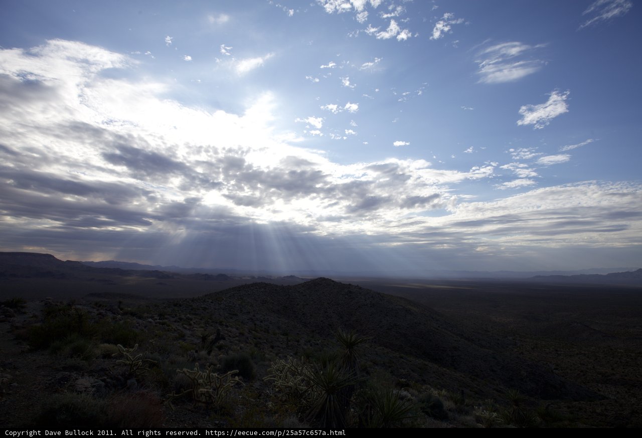 Desert Sunrise