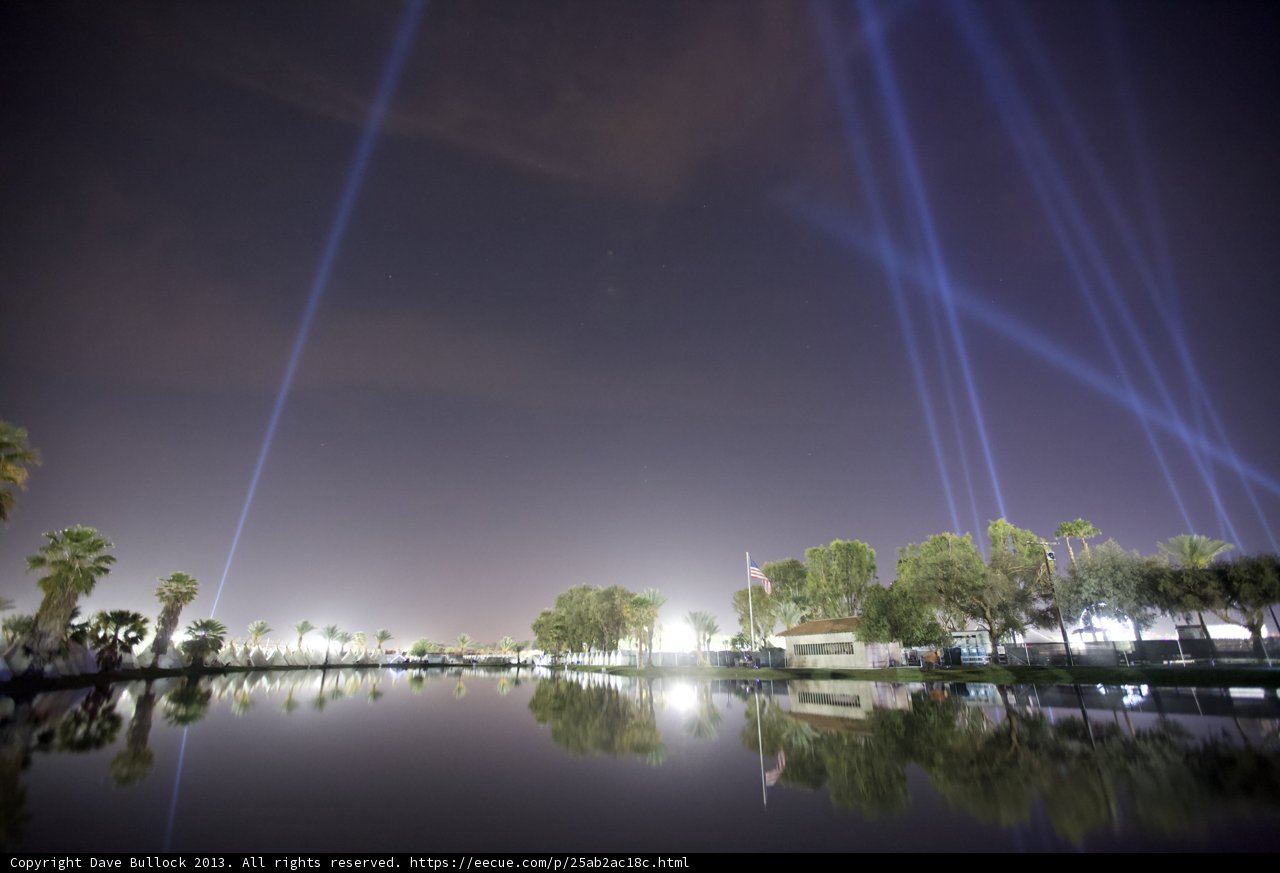 Illuminated Waterfront Trees