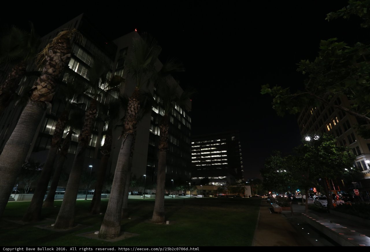 Night time Oasis in the Metropolis