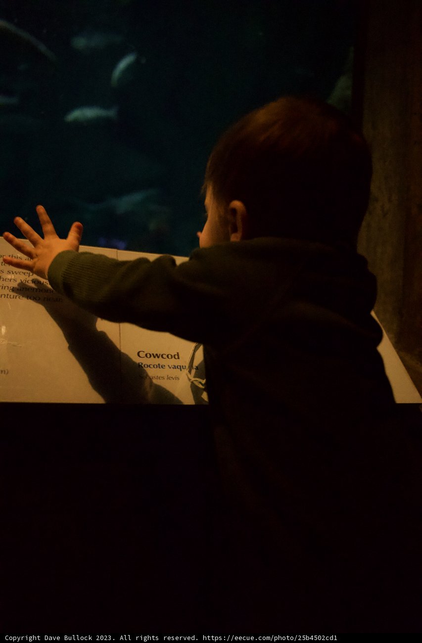 Touching the Aquatic Magic: Monterey Bay Escapade 2023