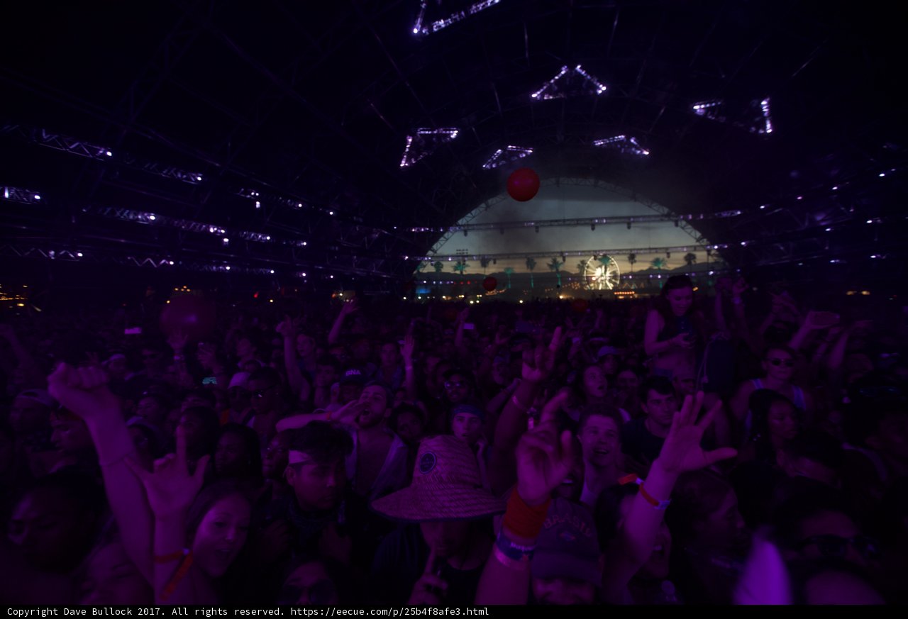 Electric Crowd at Coachella