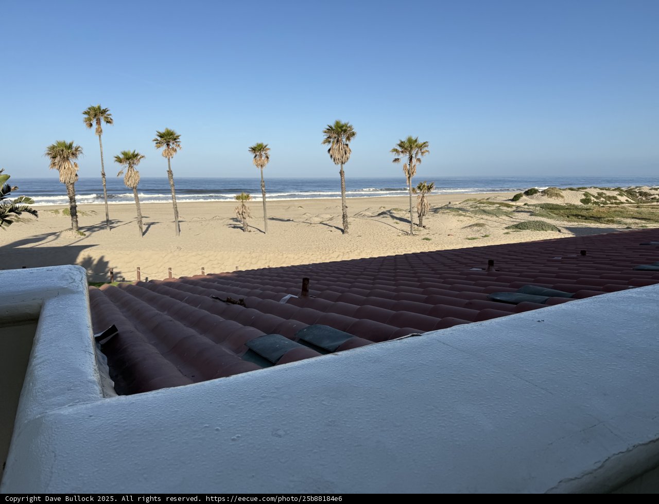 Paradise by the Pacific
