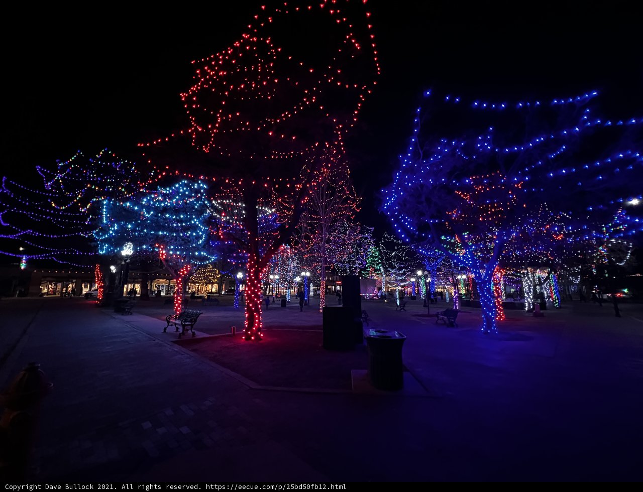City of Christmas Lights