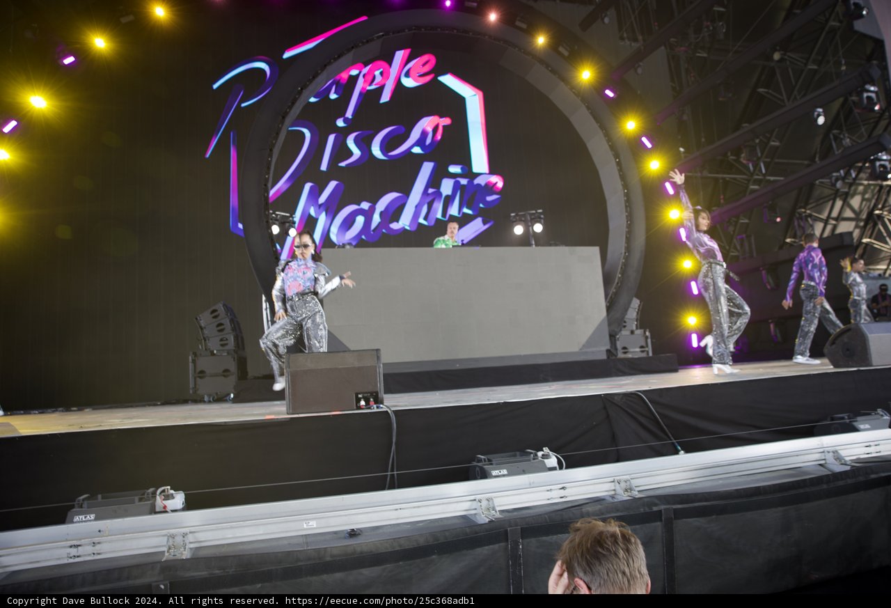 Energetic Beats at Coachella - Purple Disco Machine Live