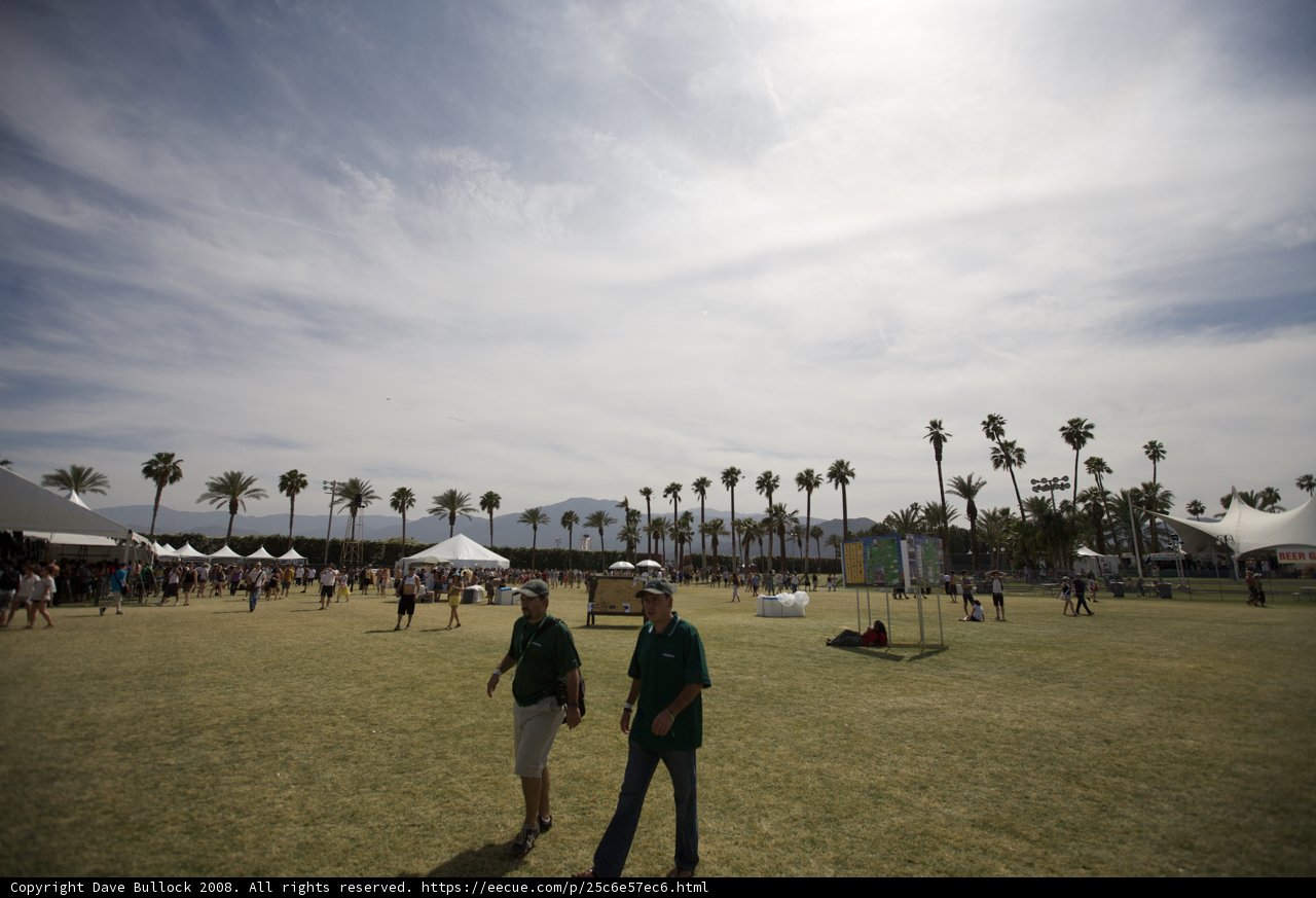 Strolling Amongst Palms