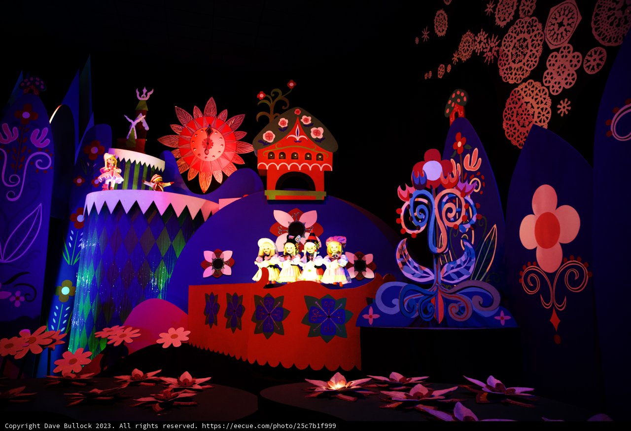 A Wonderland Birthday Celebration at Disneyland