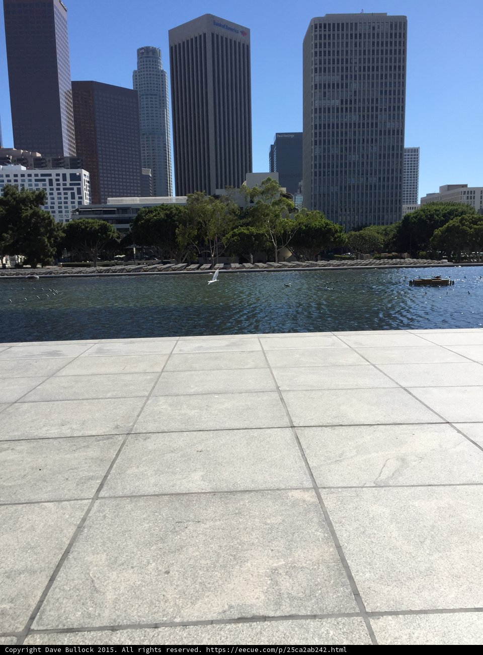Downtown Skyline View