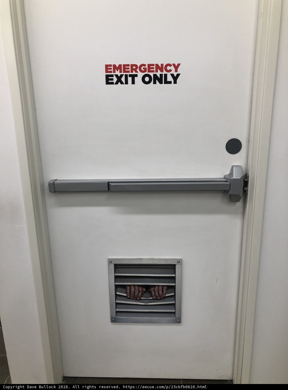 Emergency Exit Door