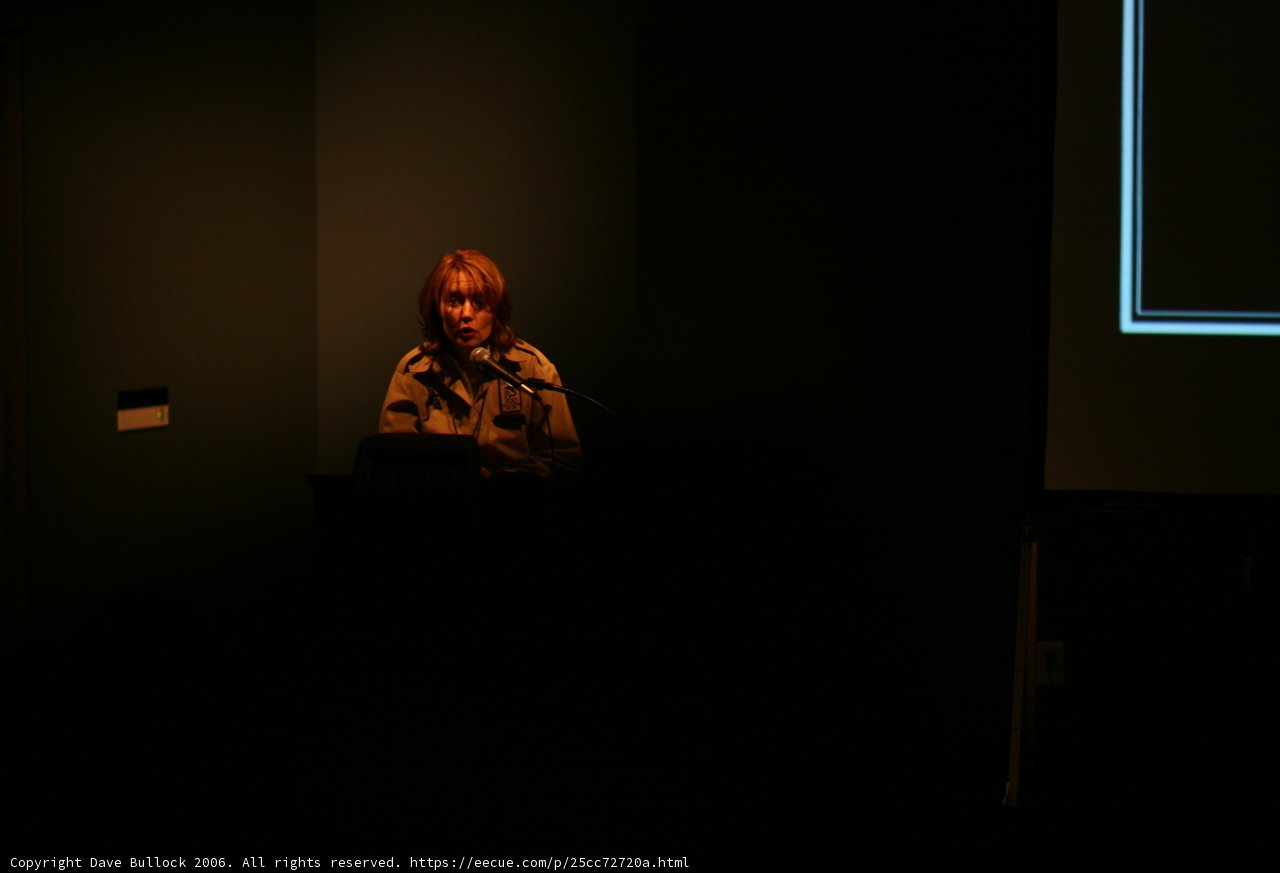 The Woman and the Cinema Screen