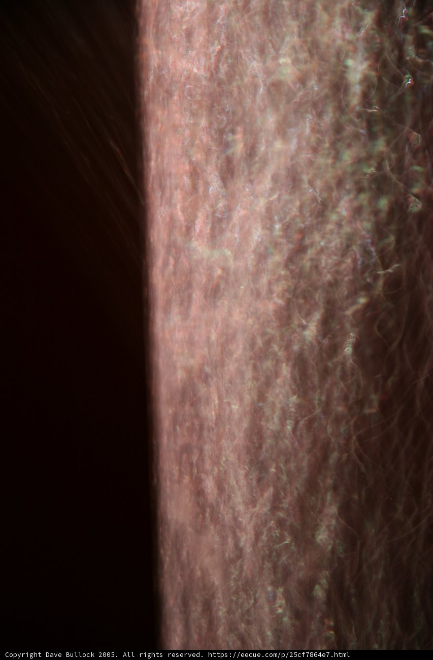 Skin Texture Close-Up