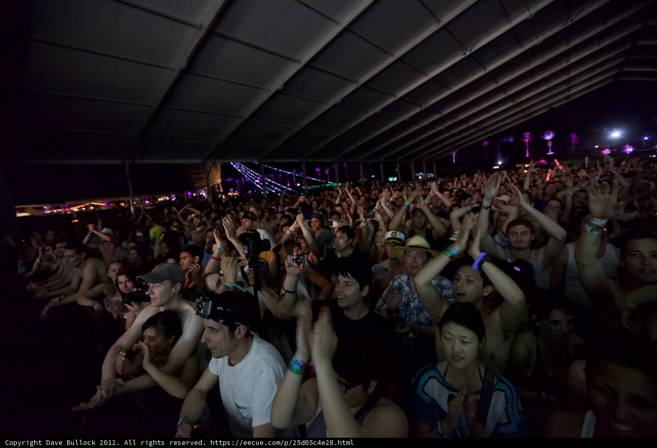 Coachella Crowd Goes Wild