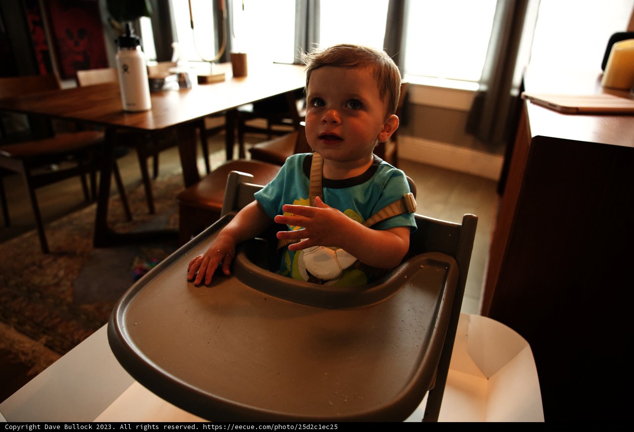 Wesley's First Birthday Bash