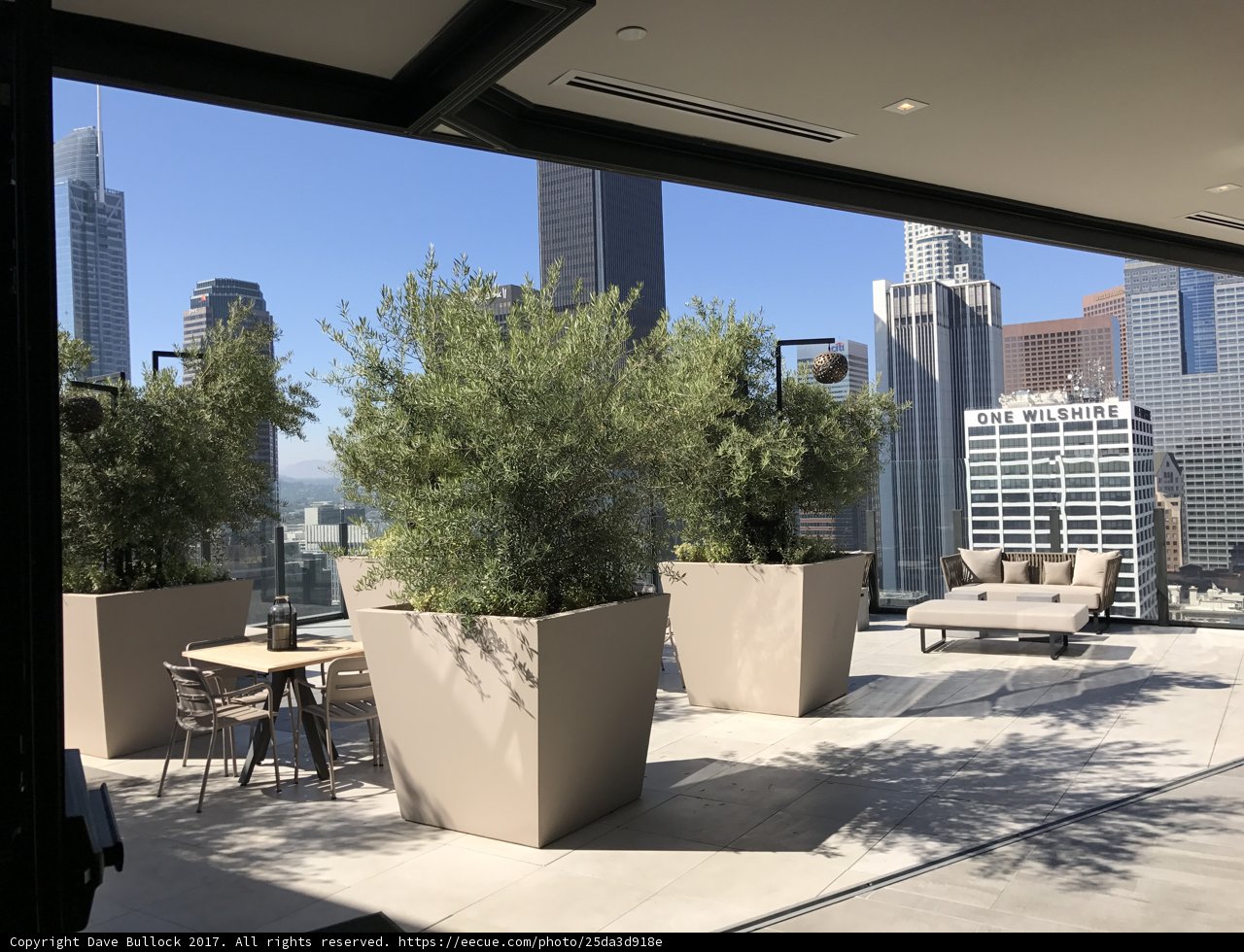 Cityscape Oasis