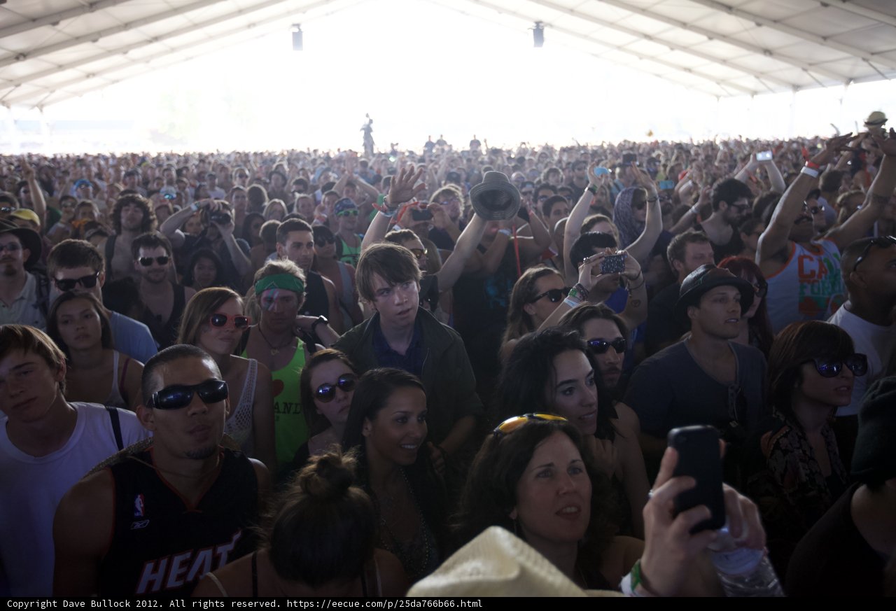 Festival Frenzy