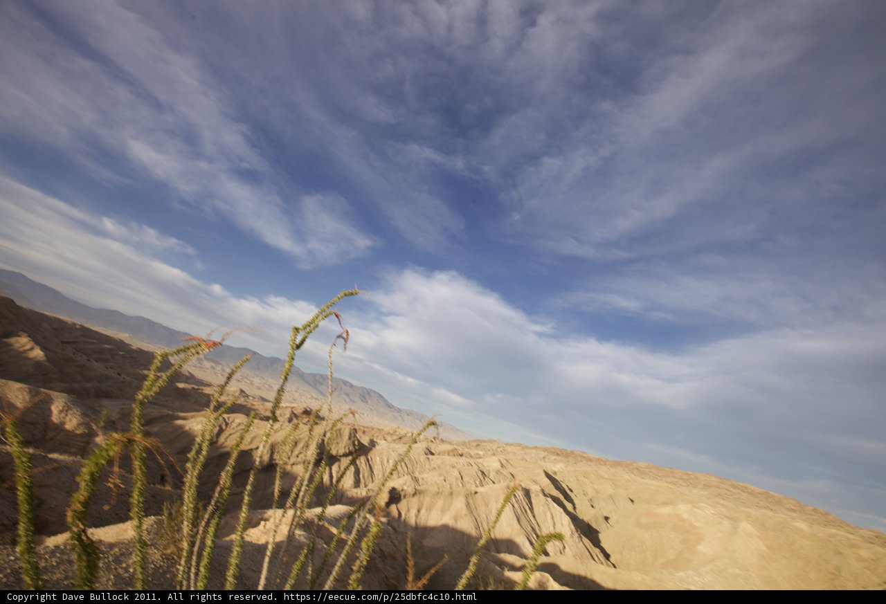 Serene Desert Landscape