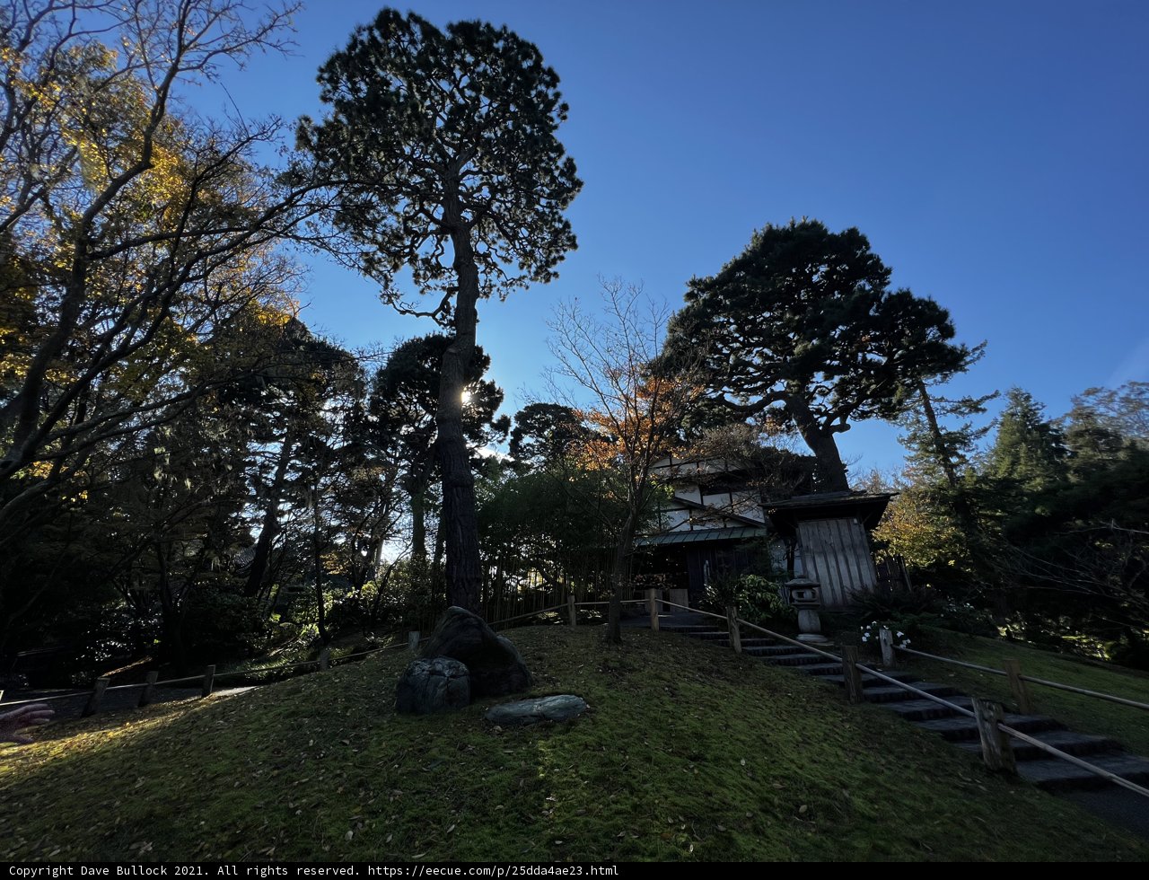 Japanese Temple in the San Francisco Countryside