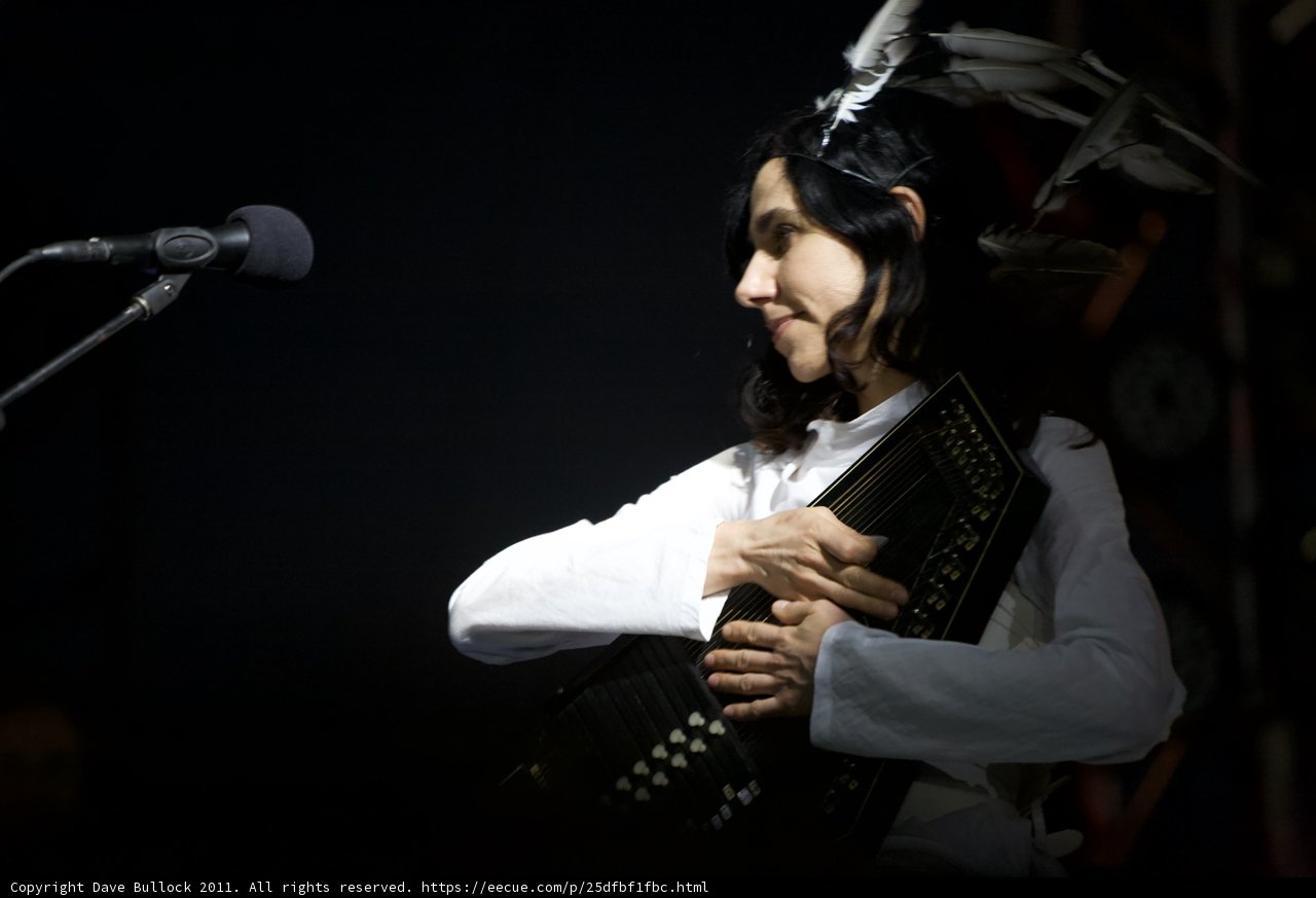PJ Harvey and the Squeezebox