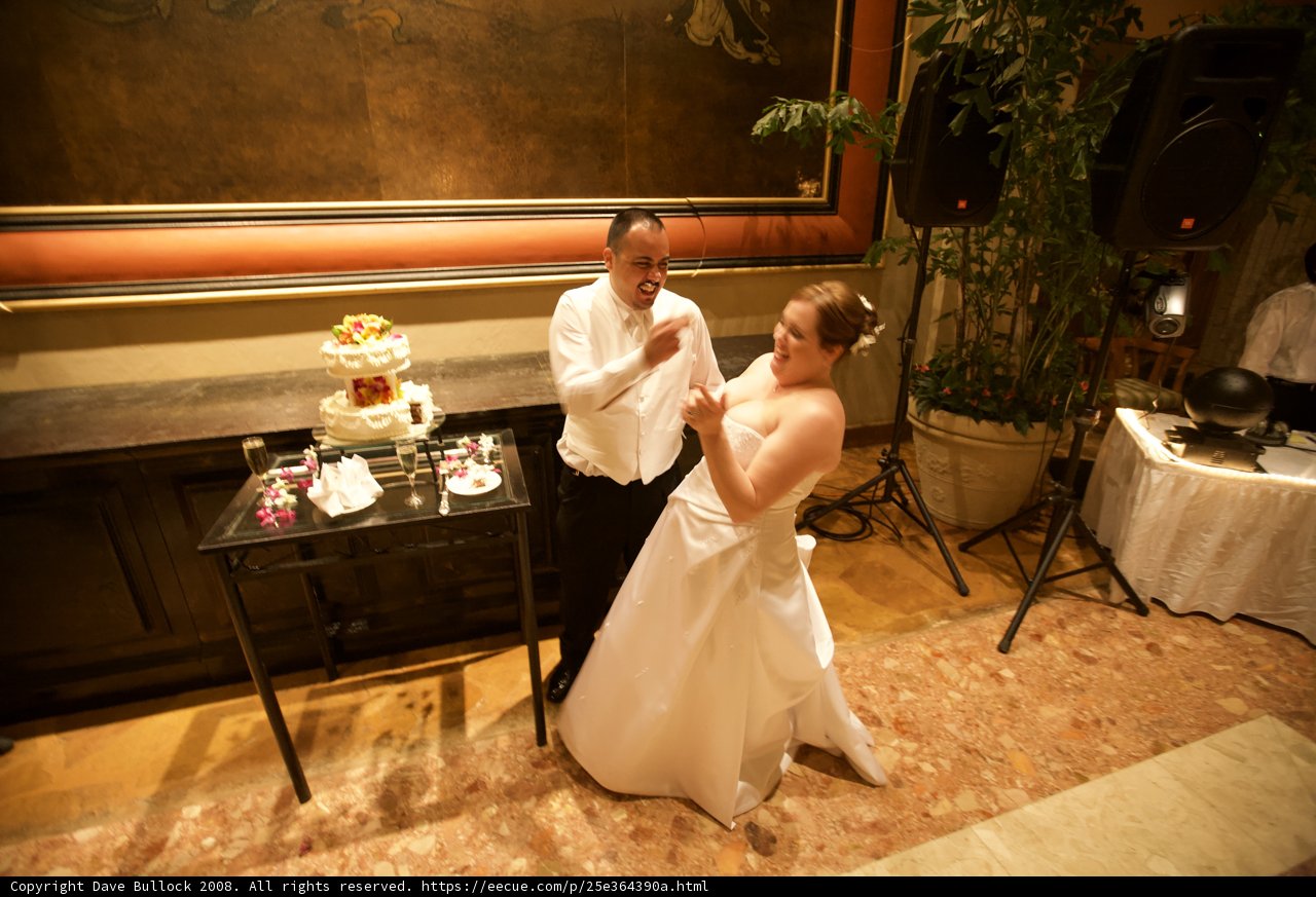 Cutting the Wedding Cake