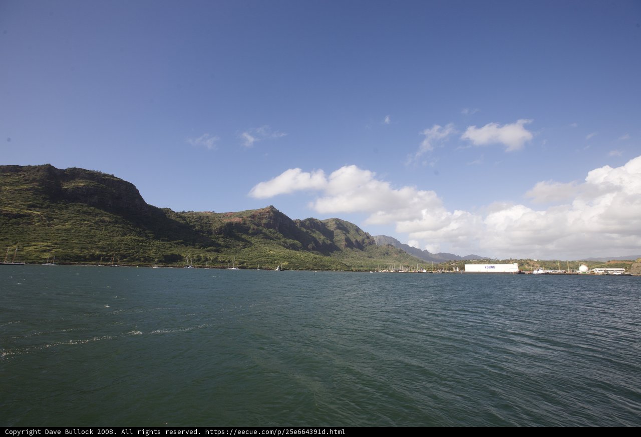 Serene Coastal Promontory View
