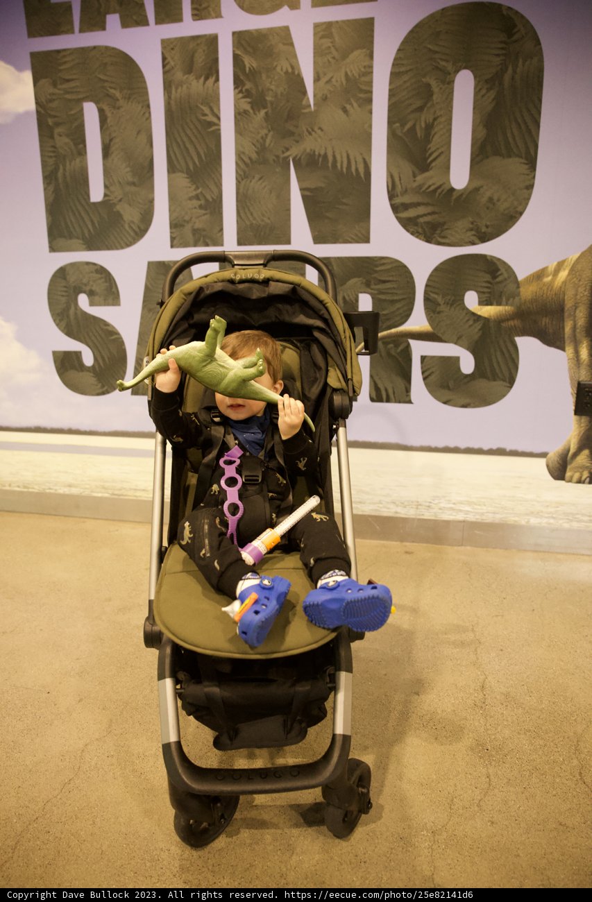 An Afternoon at Golden Gate Park: Baby's First Adventure
