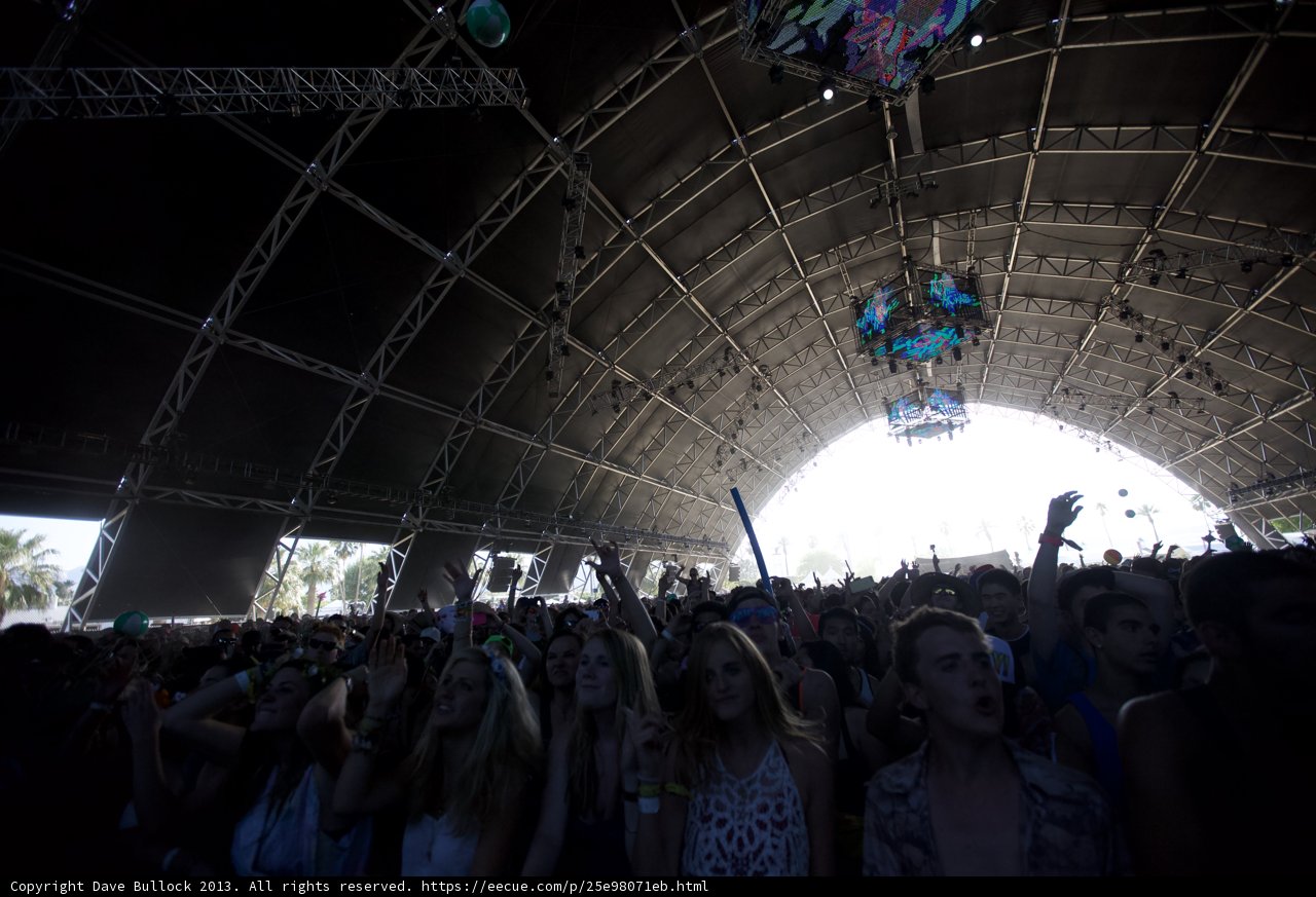 A Crowd Wild for the Beat