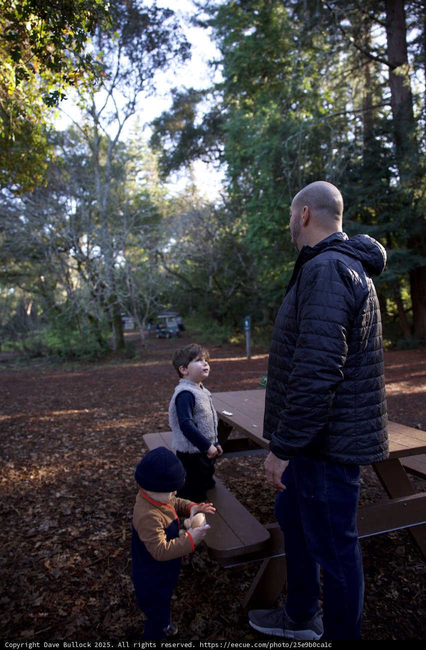 Autumn Stroll at Thistlewyck