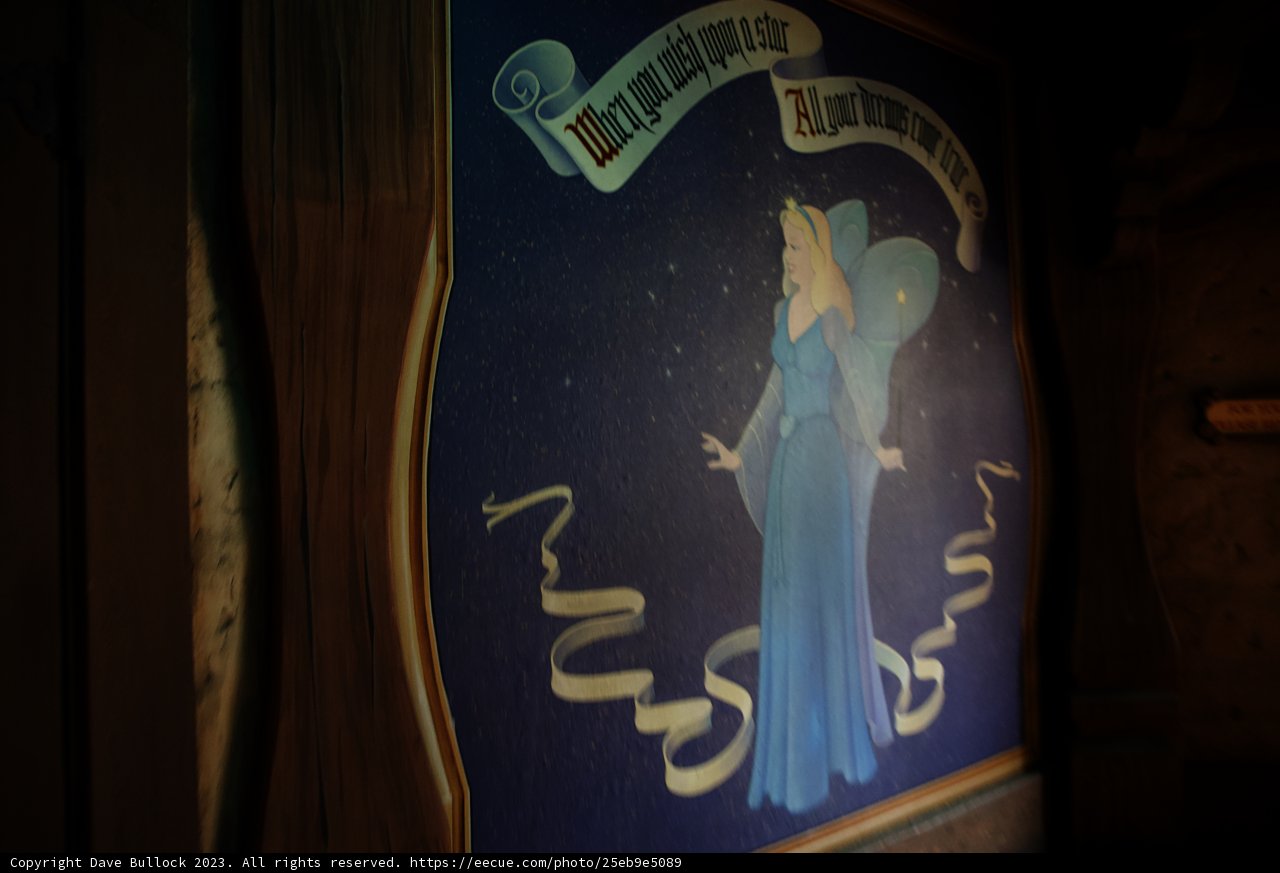 Enigmatic Beauty in Blue