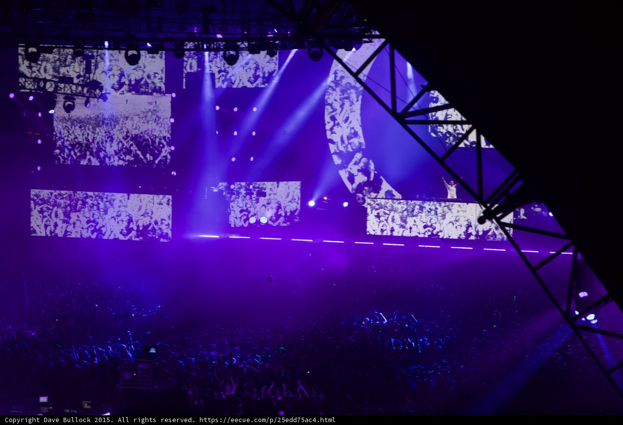 Purple Haze at Coachella