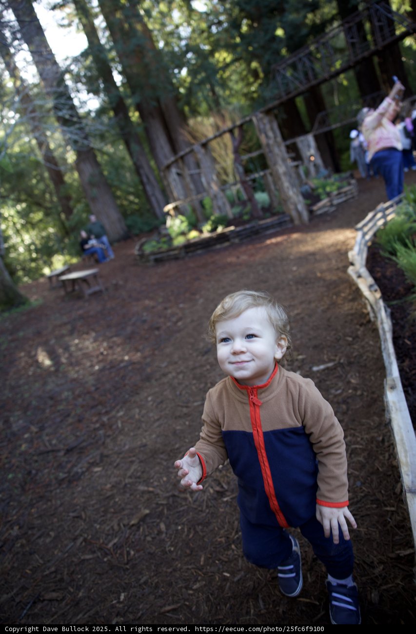 A Stroll Through Thistlewyck