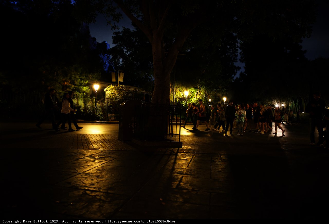 Magical Night Stroll in Disneyland