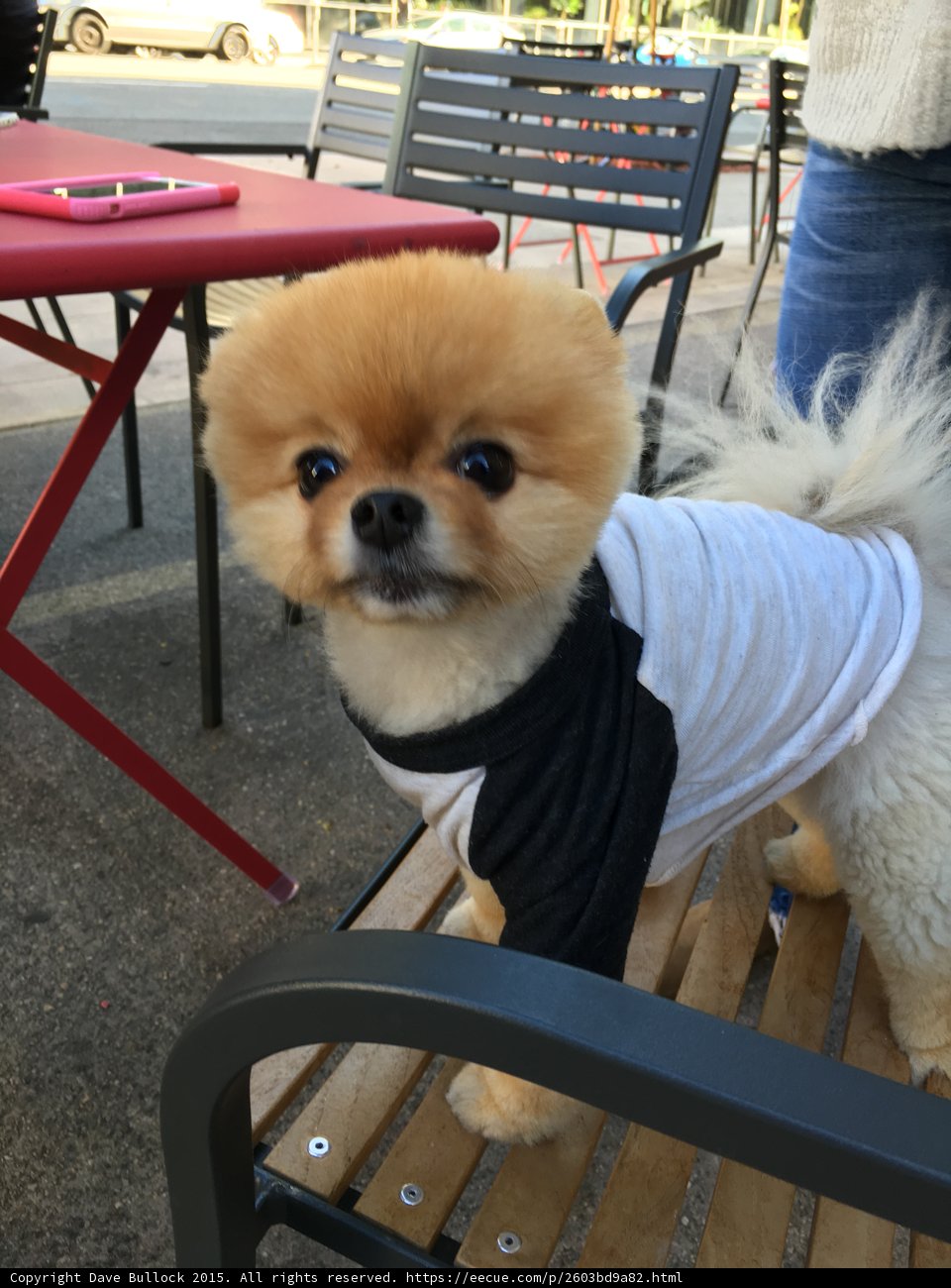 LA Food Scene